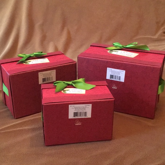 Expressive Design Group inc | Other | 3 Nested Christmas Gift Boxes Nwt